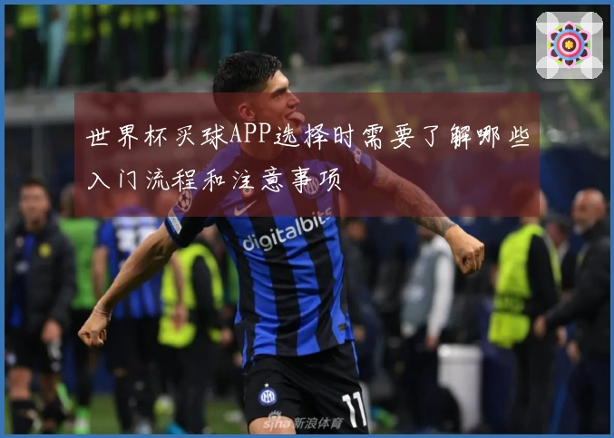 世界杯买球APP选择时需要了解哪些入门流程和注意事项