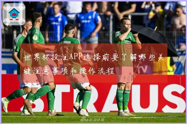 世界杯投注APP选择前要了解哪些关键注意事项和操作流程