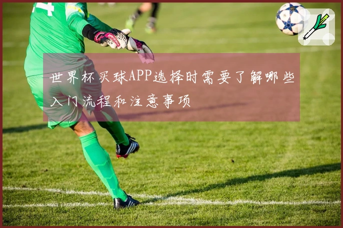 世界杯买球APP选择时需要了解哪些入门流程和注意事项